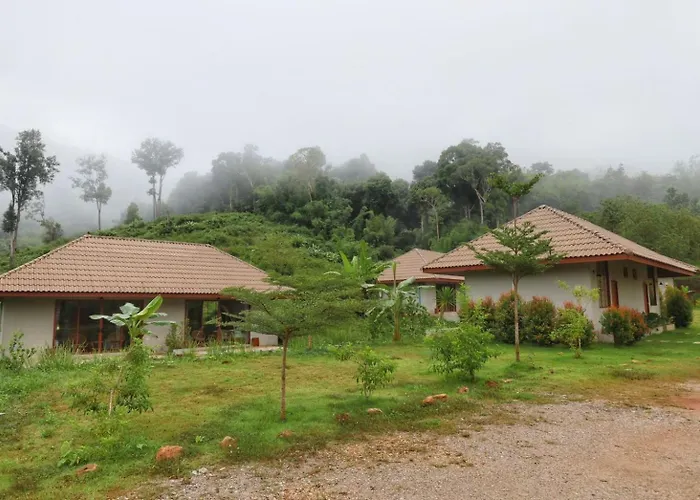The Liveliwoods Hotel Khao Sok National Park