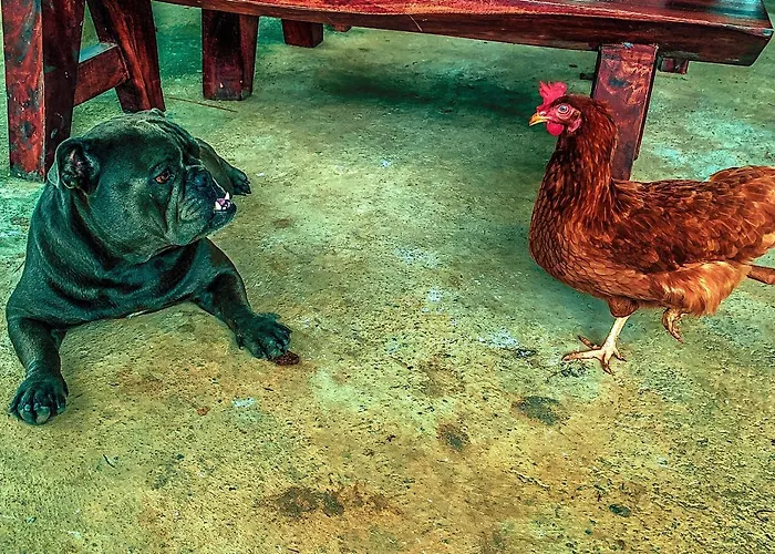 Montra Long Beach Bungalows Koh Lanta